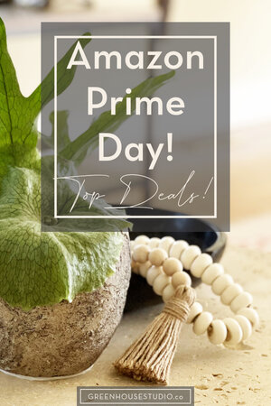It's Amazon Prime Day!