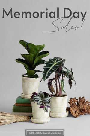 Memorial Day Weekend Sales