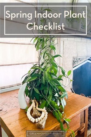Spring Indoor Plant Checklist